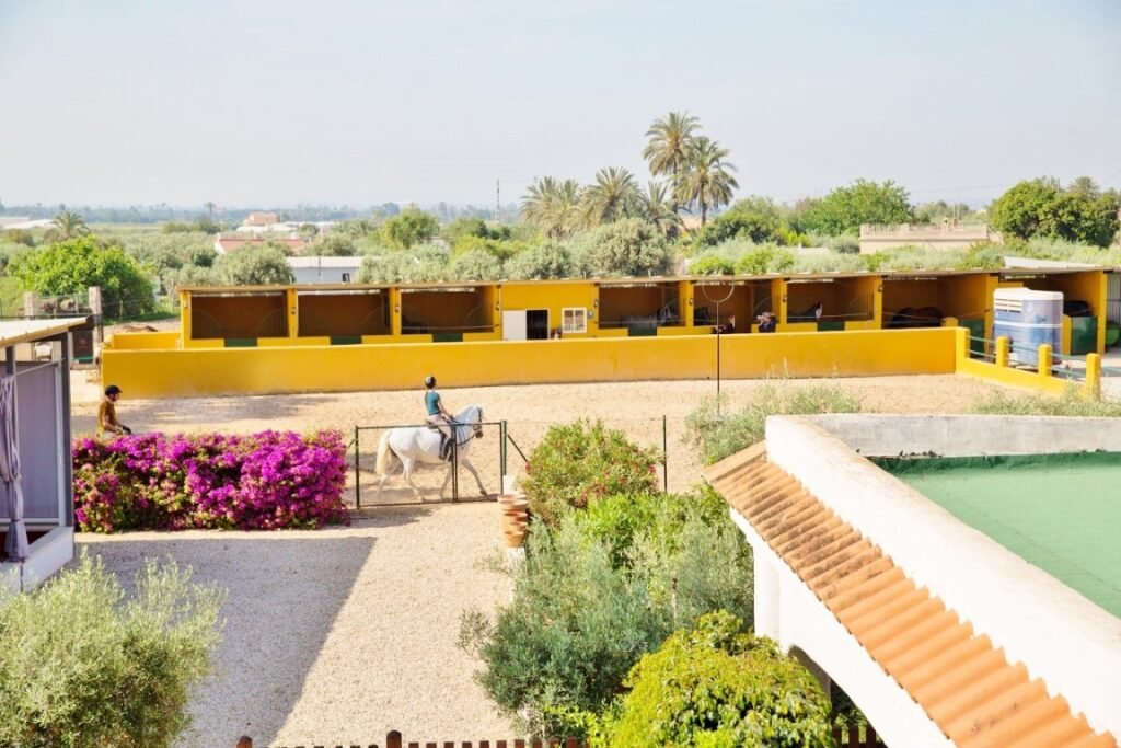 Finca met 5 slaapkamers in Elche